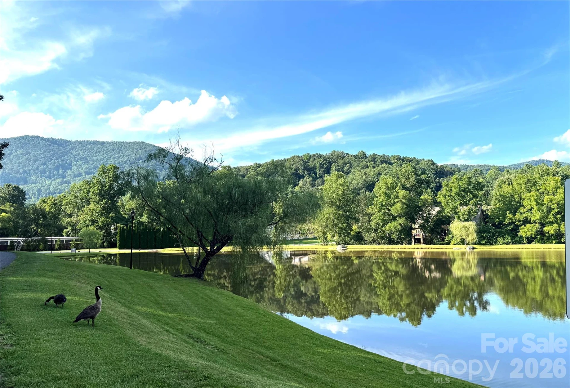 8 Lakeview Drive - Photo 47