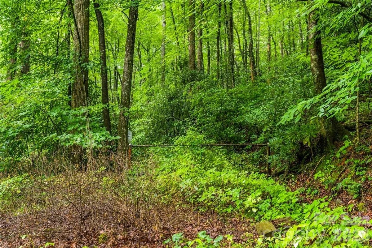 TBD Hemlock Circle #132 - Photo 7