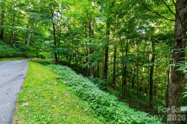 Lot 25 Finlaystone Trace, Waynesville, NC, 28786