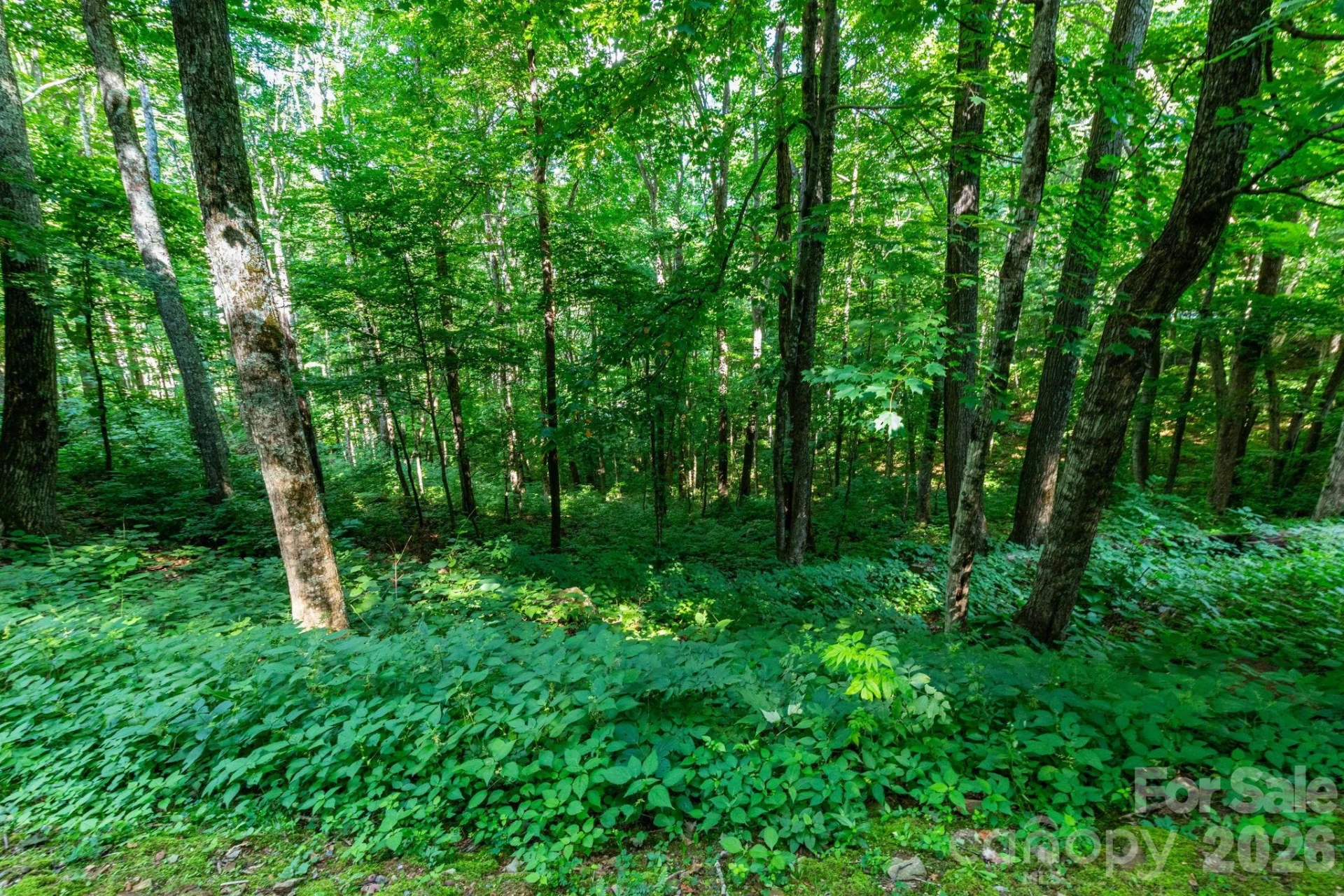 Lot 25 Finlaystone Trace #25 - Photo 2