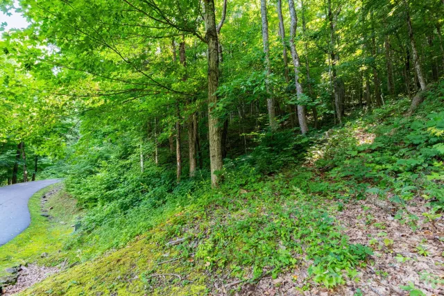 Lot 30 Finlaystone Trace, Waynesville, NC, 28786