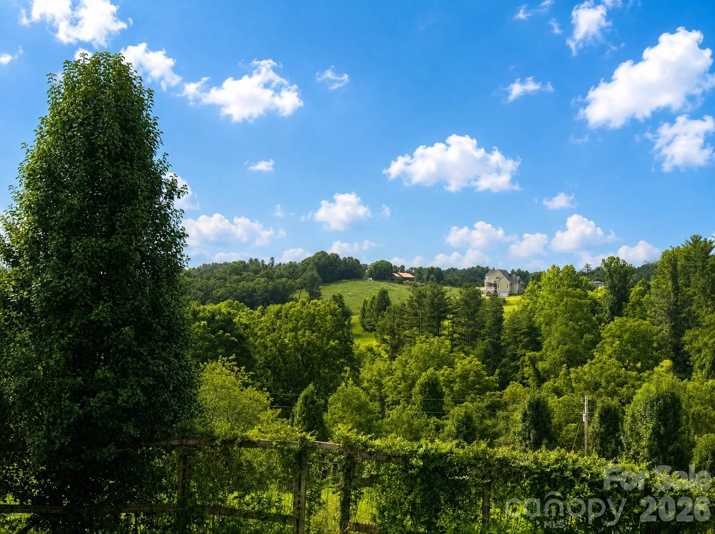 98 Tom Arthur Lane - Photo 8