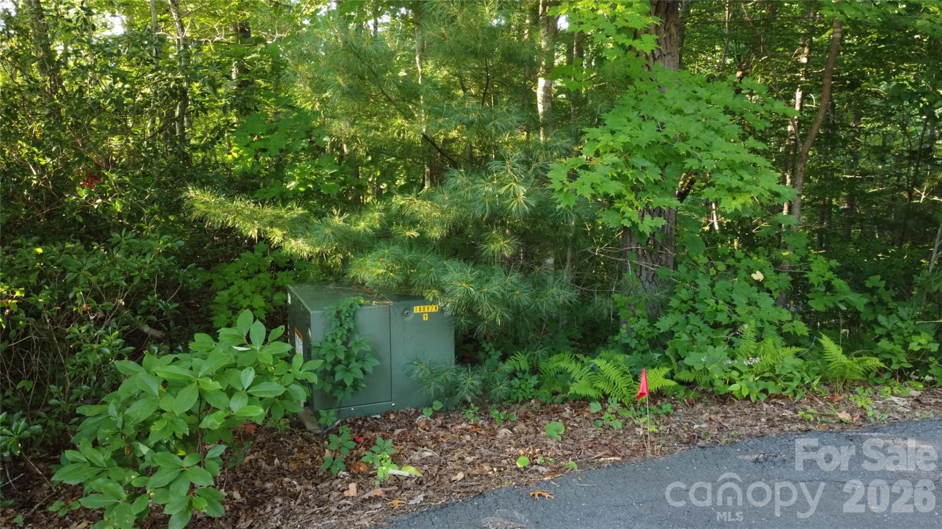 0000 Havens Creek Road #4 - Photo 2