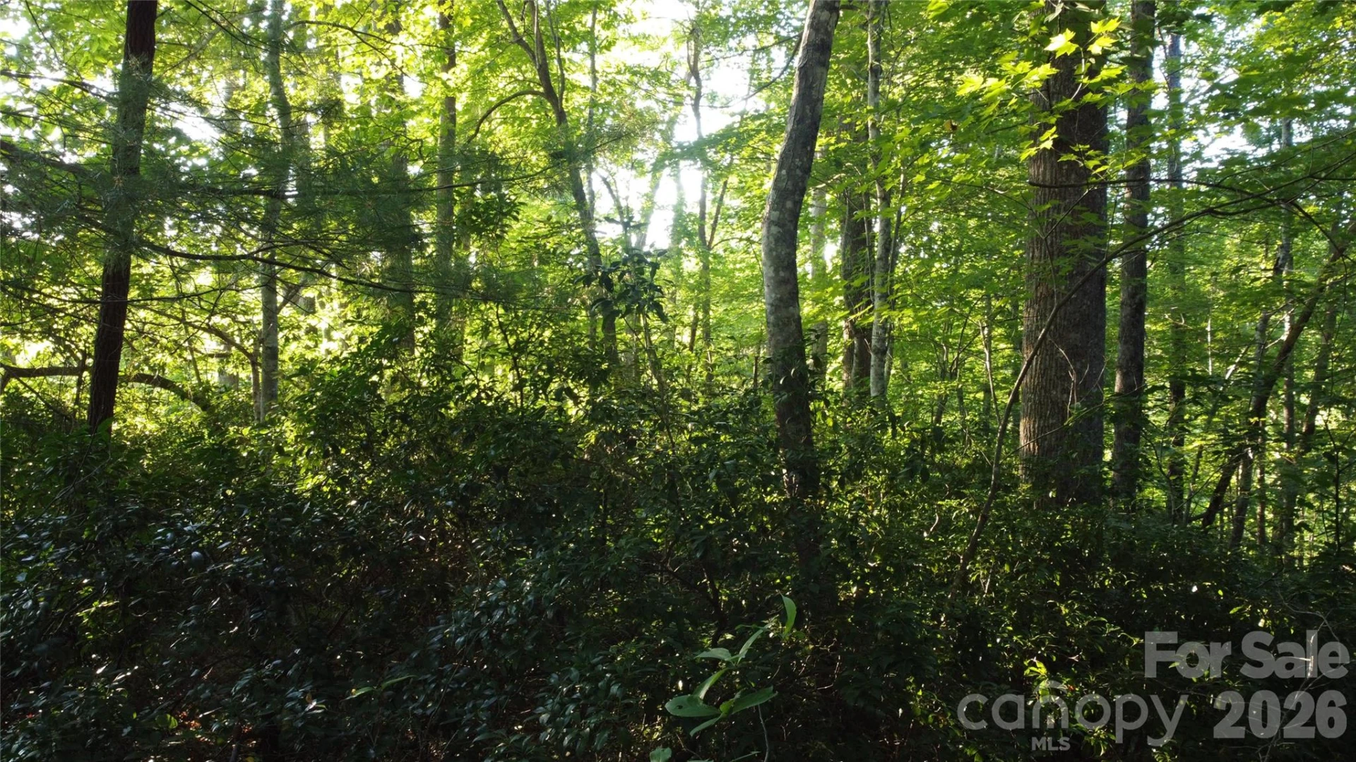 0000 Havens Creek Road #4 - Photo 3