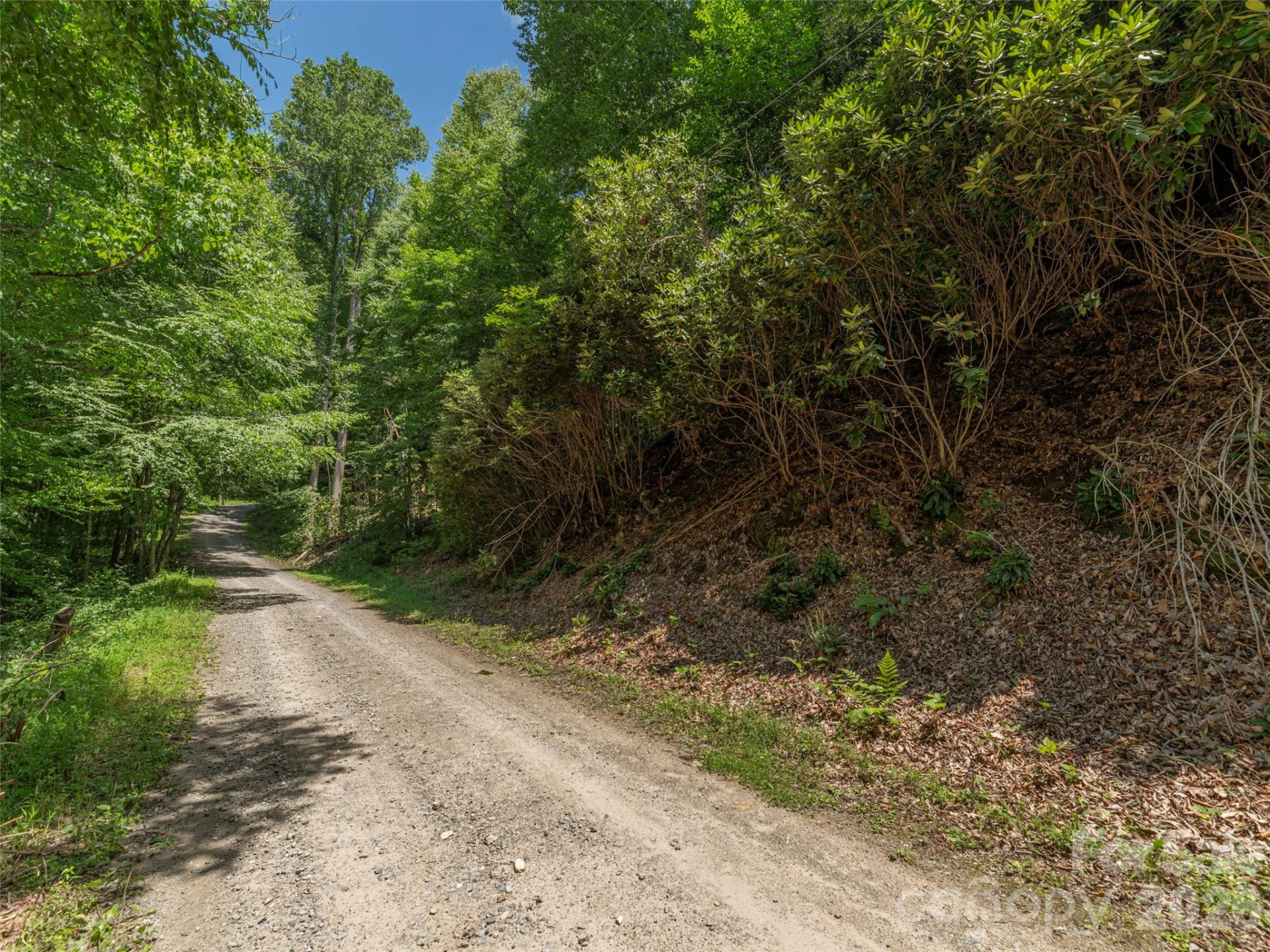 00 Rough Knob Road - Photo 2