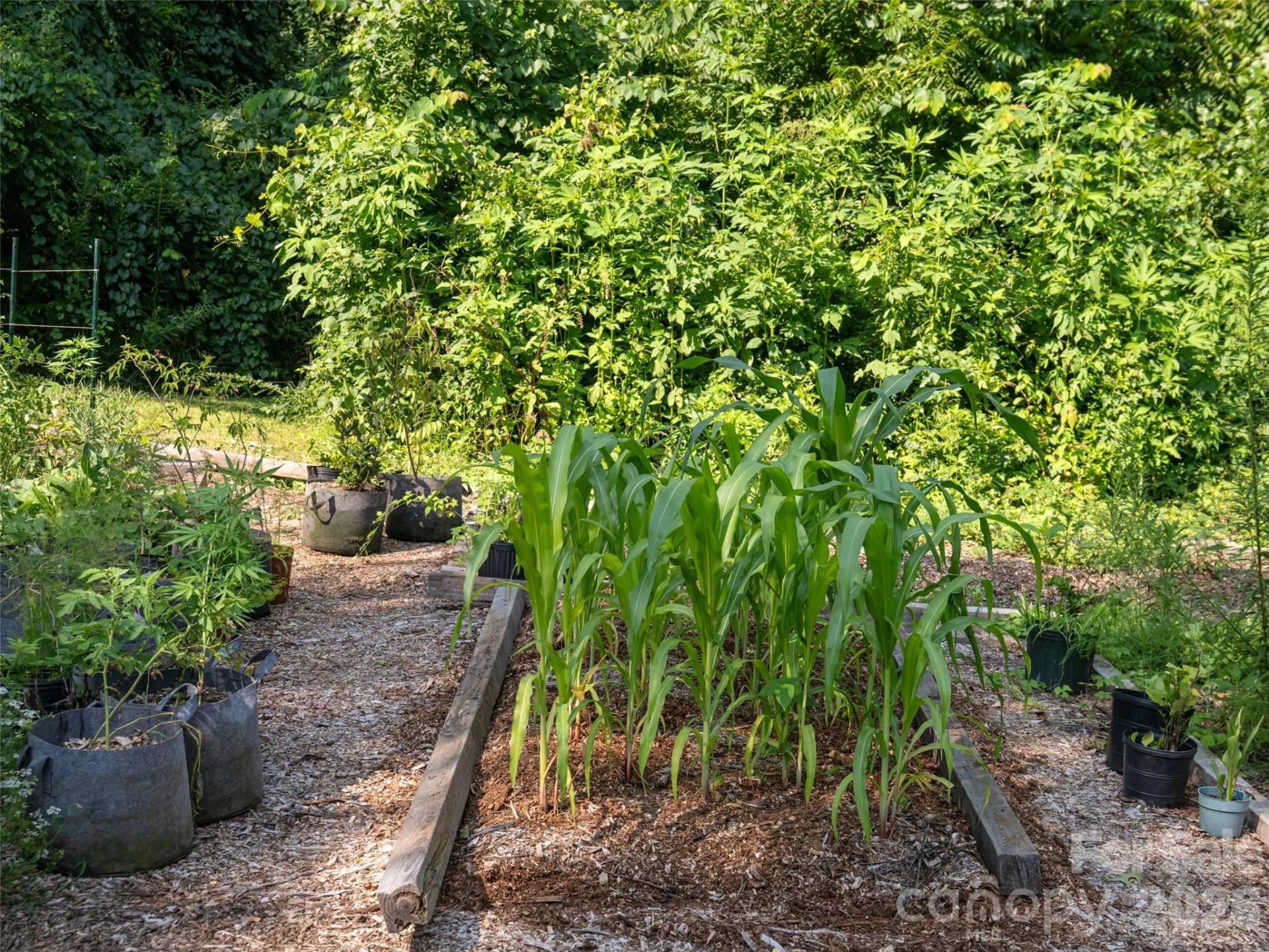 61 Sherwood Forest Drive - Photo 31