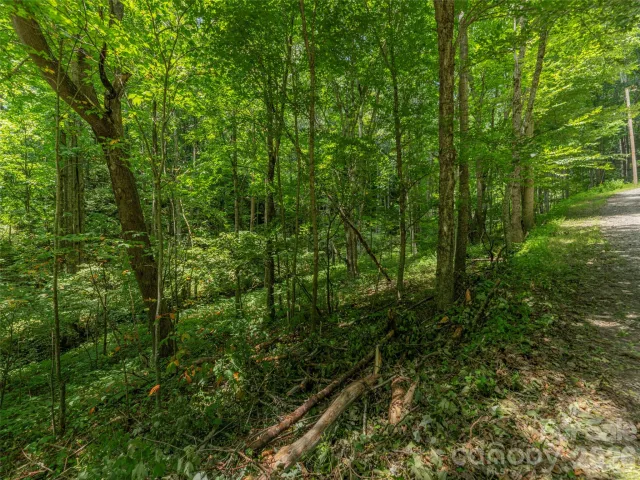 000 Rough Knob Road, Clyde, NC, 28721