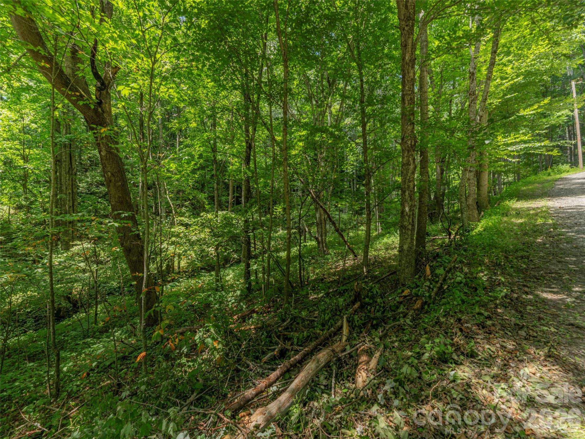 000 Rough Knob Road