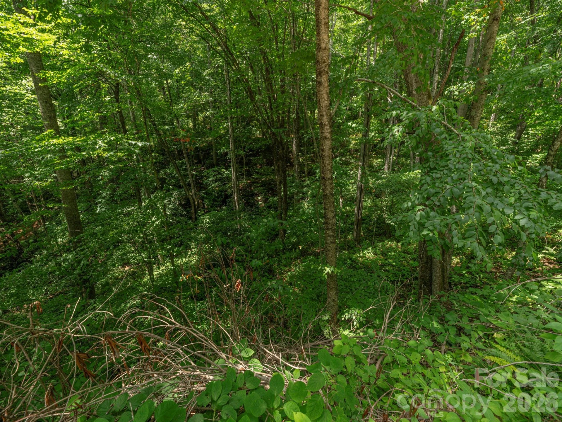 000 Rough Knob Road - Photo 2