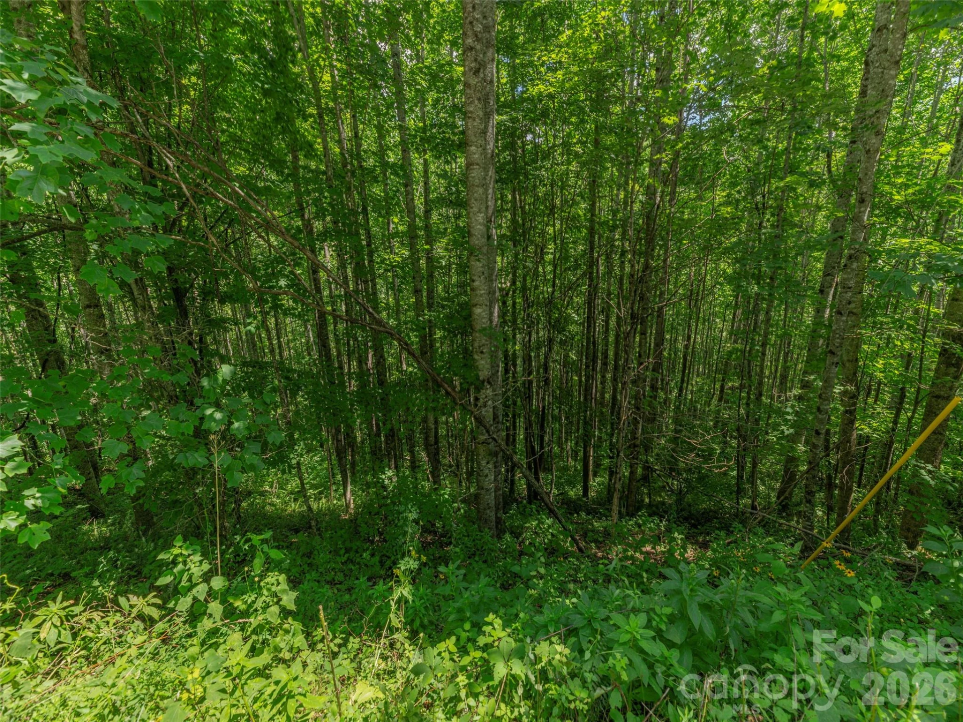 000 Rough Knob Road - Photo 3