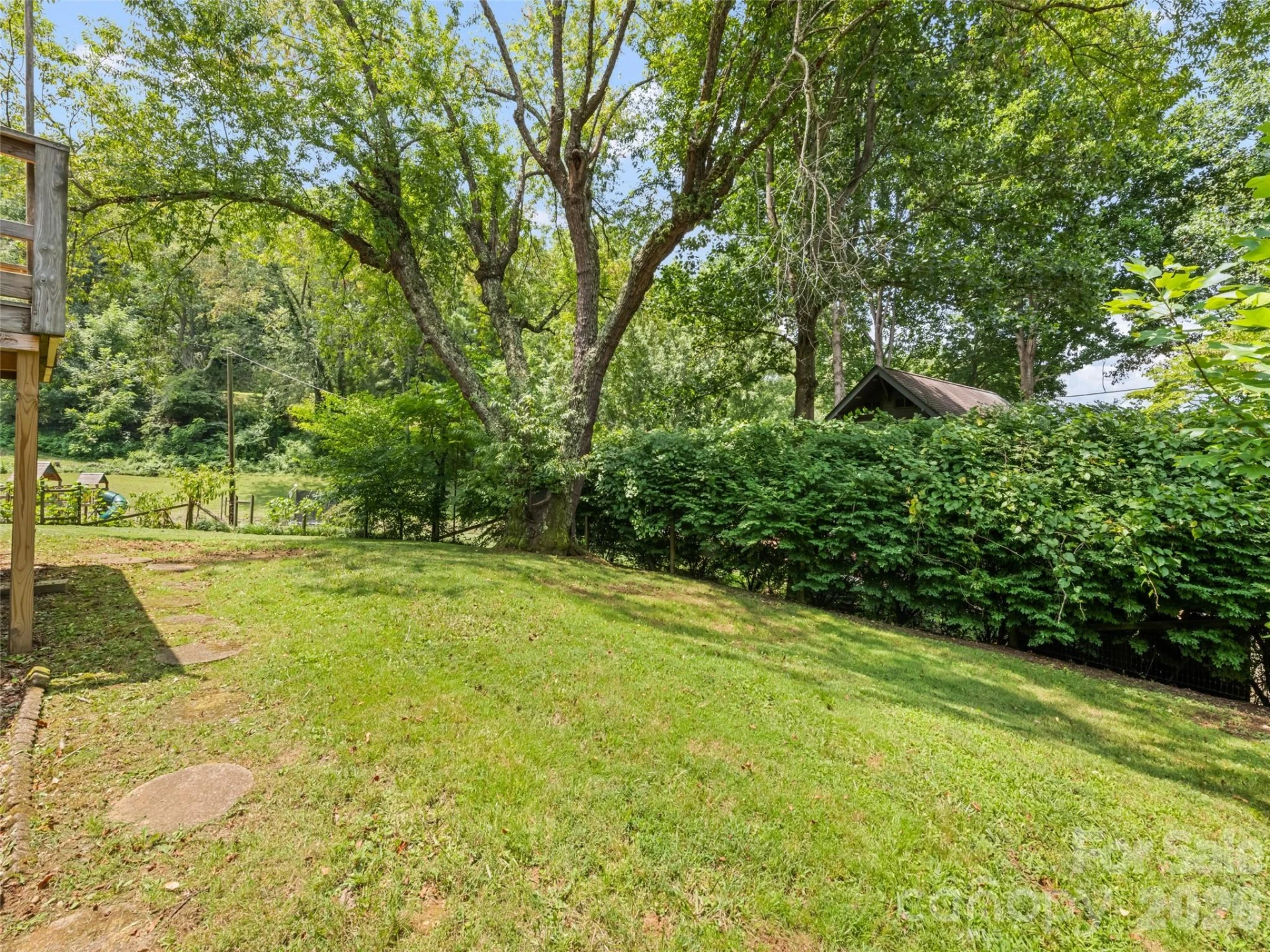 206 Terrell Cove Road - Photo 9
