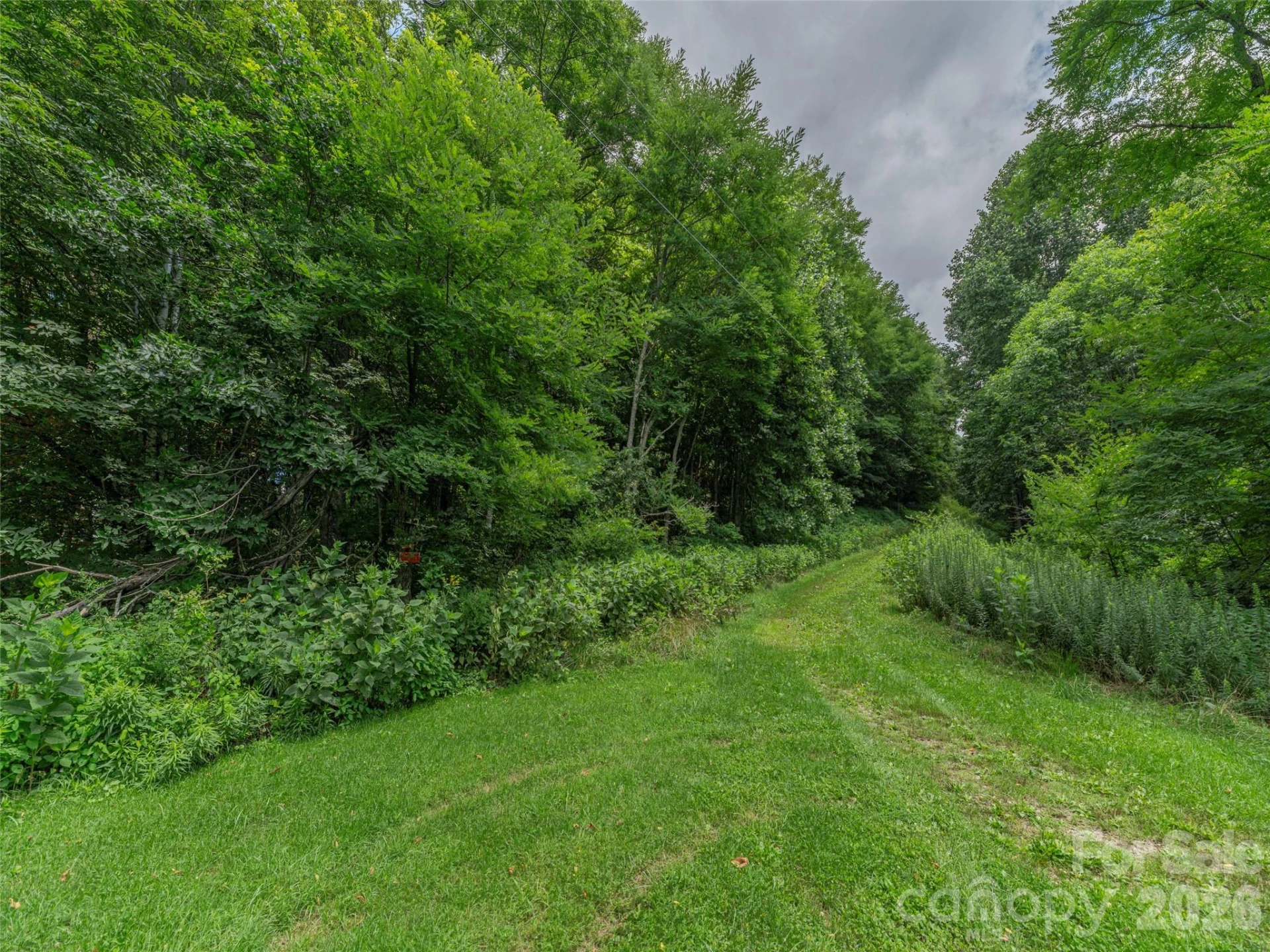 00000 Rough Knob Road - Photo 2