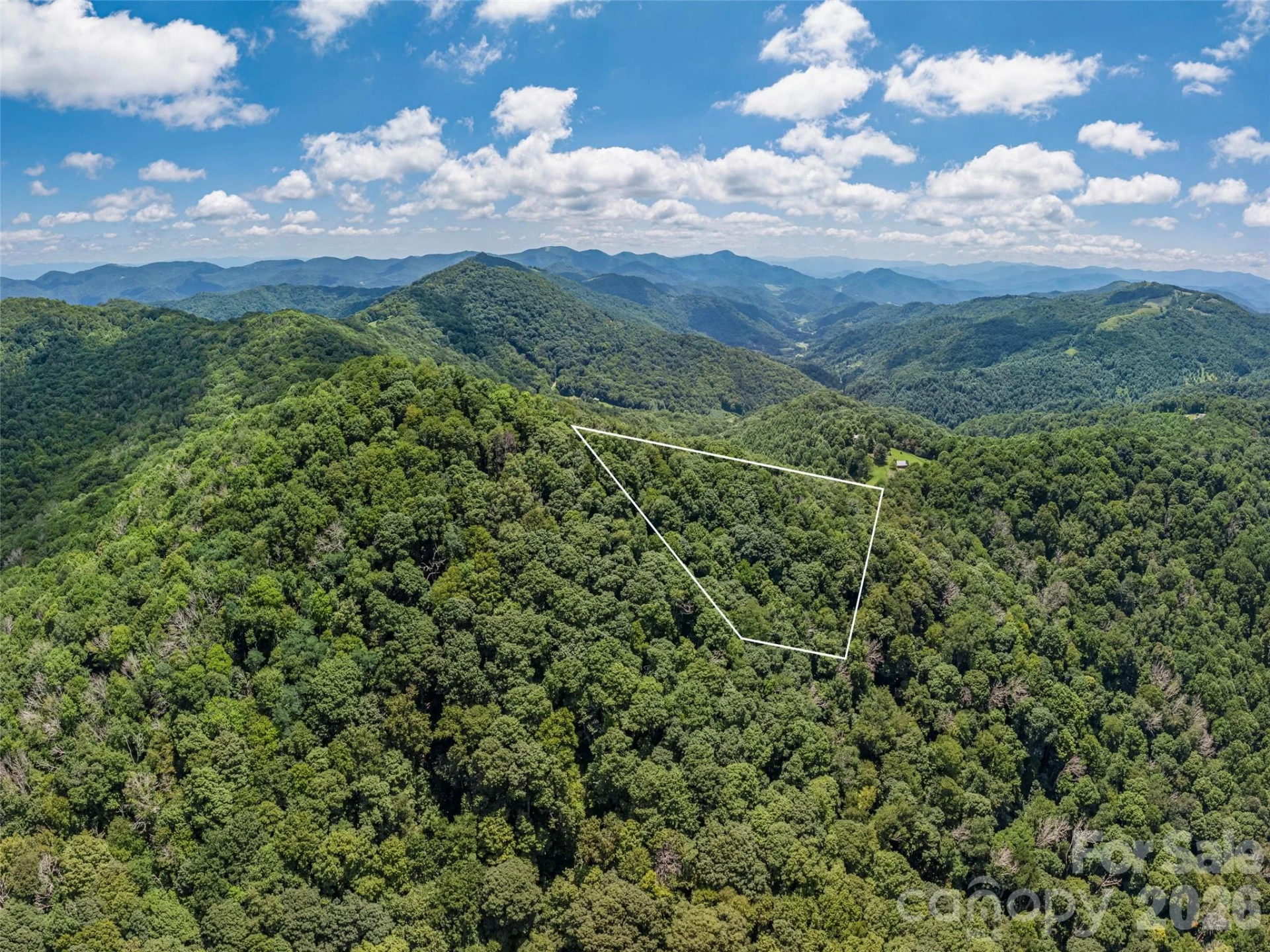 00000 Rough Knob Road - Photo 6