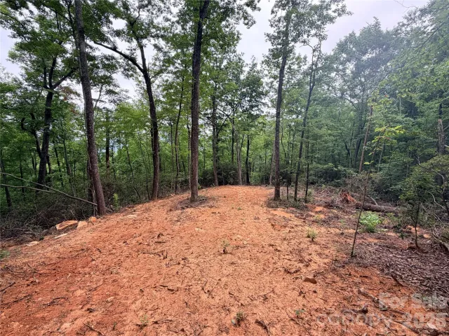 0 Harrison Drive, Lake Lure, NC, 28746