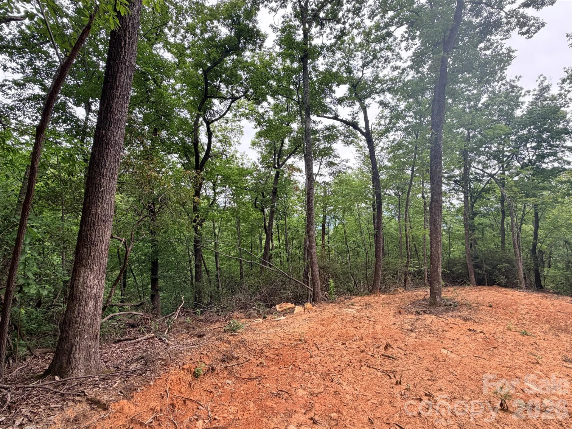 0 Harrison Drive - Photo 2