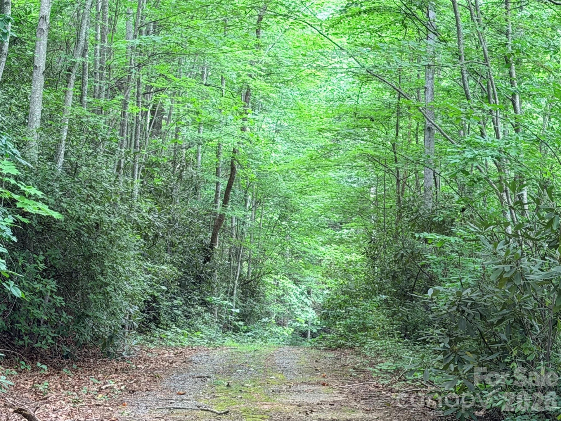 0 Harrison Drive - Photo 4
