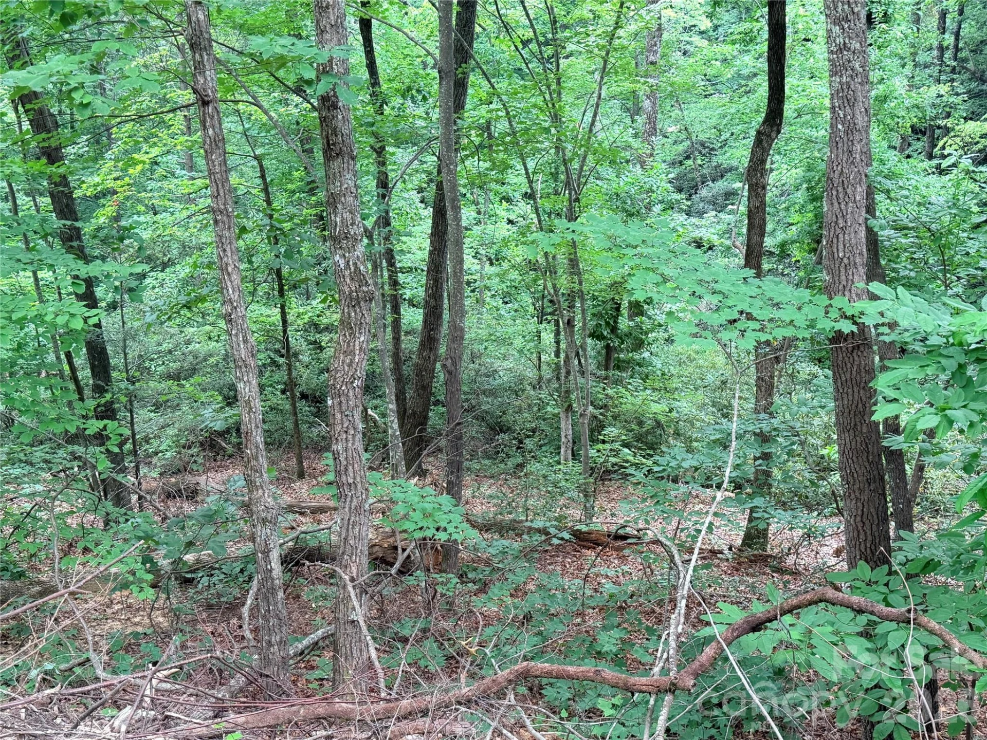 0 Harrison Drive - Photo 5