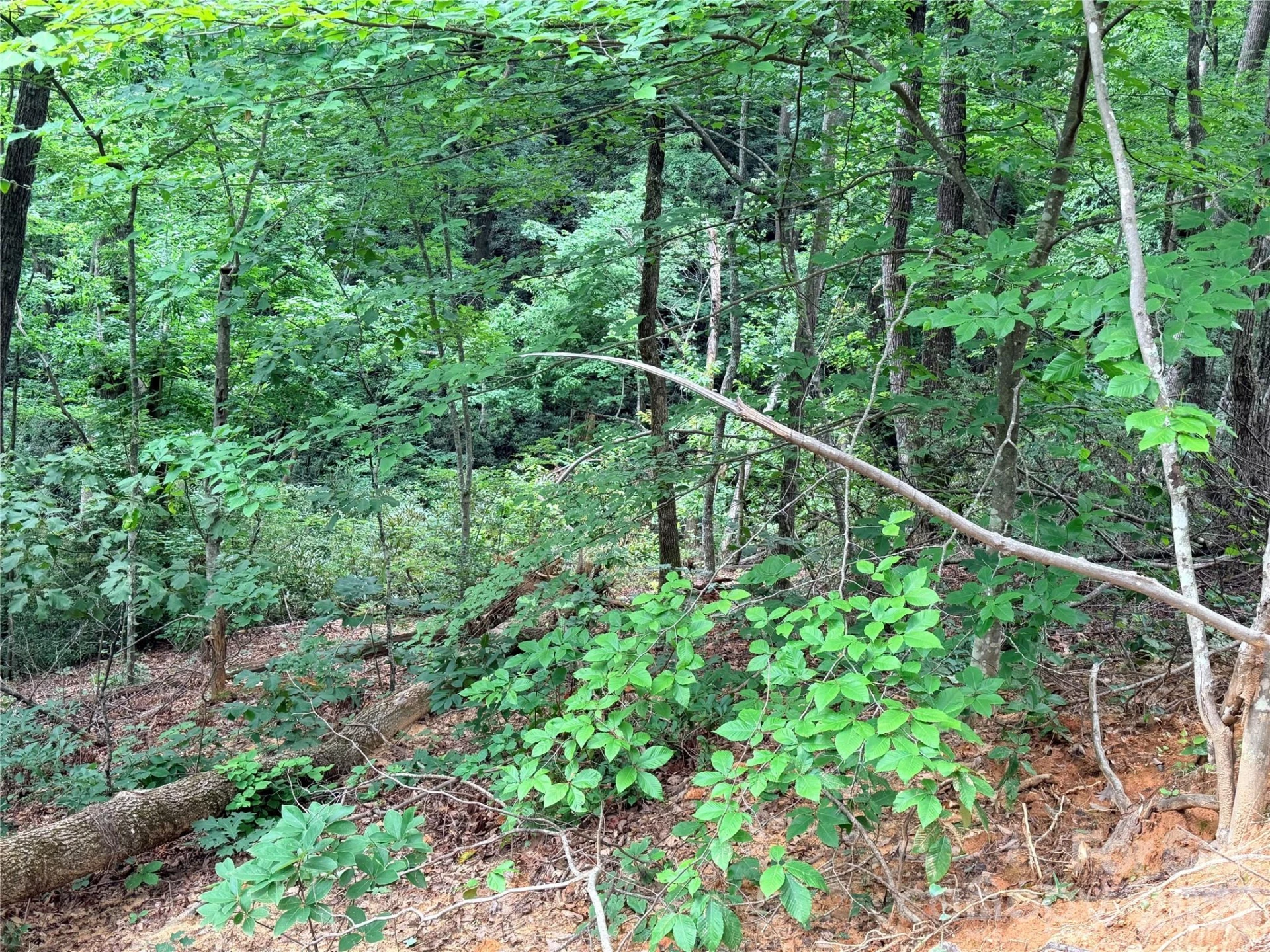 0 Harrison Drive - Photo 6