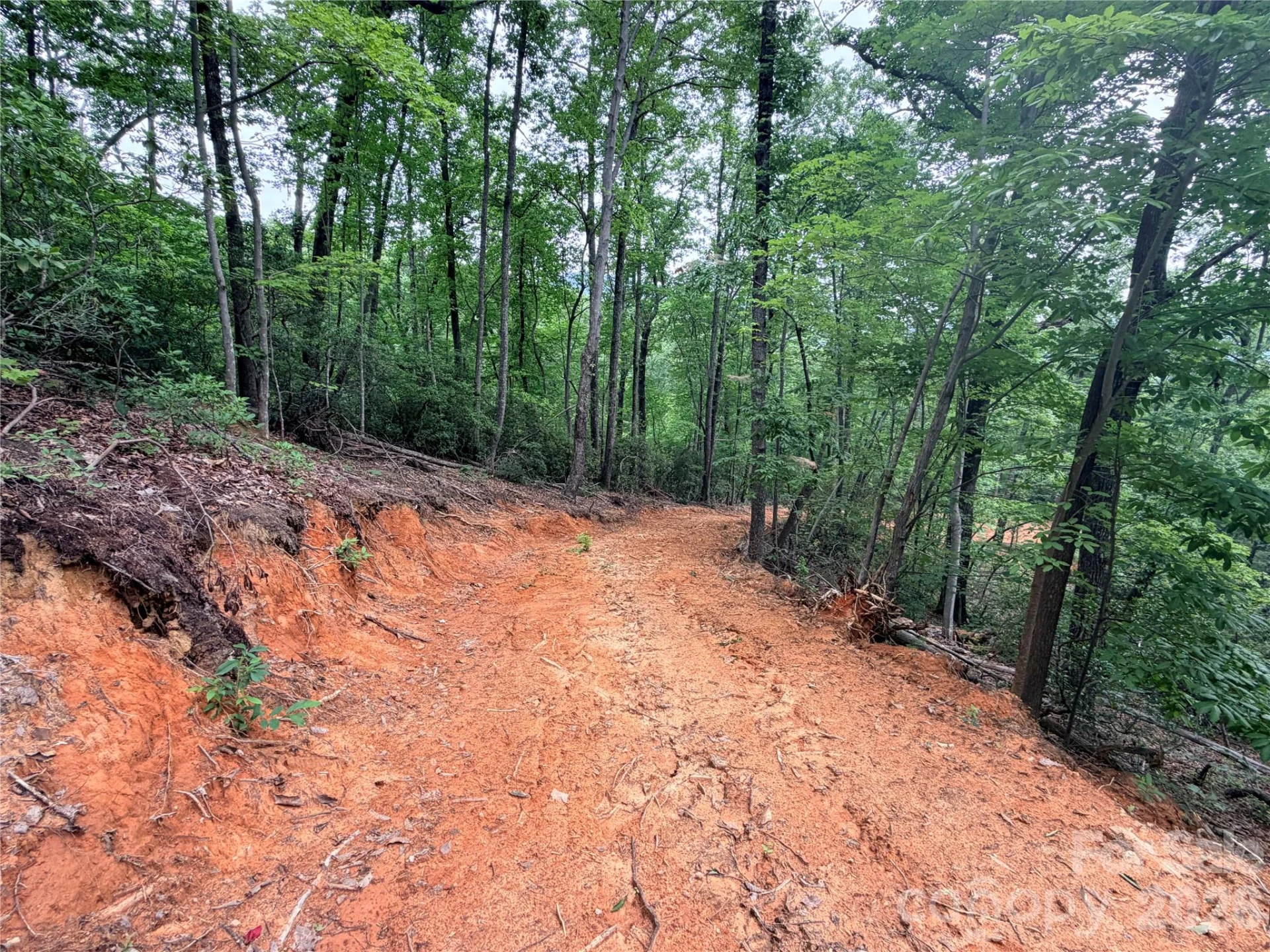 0 Harrison Drive - Photo 7