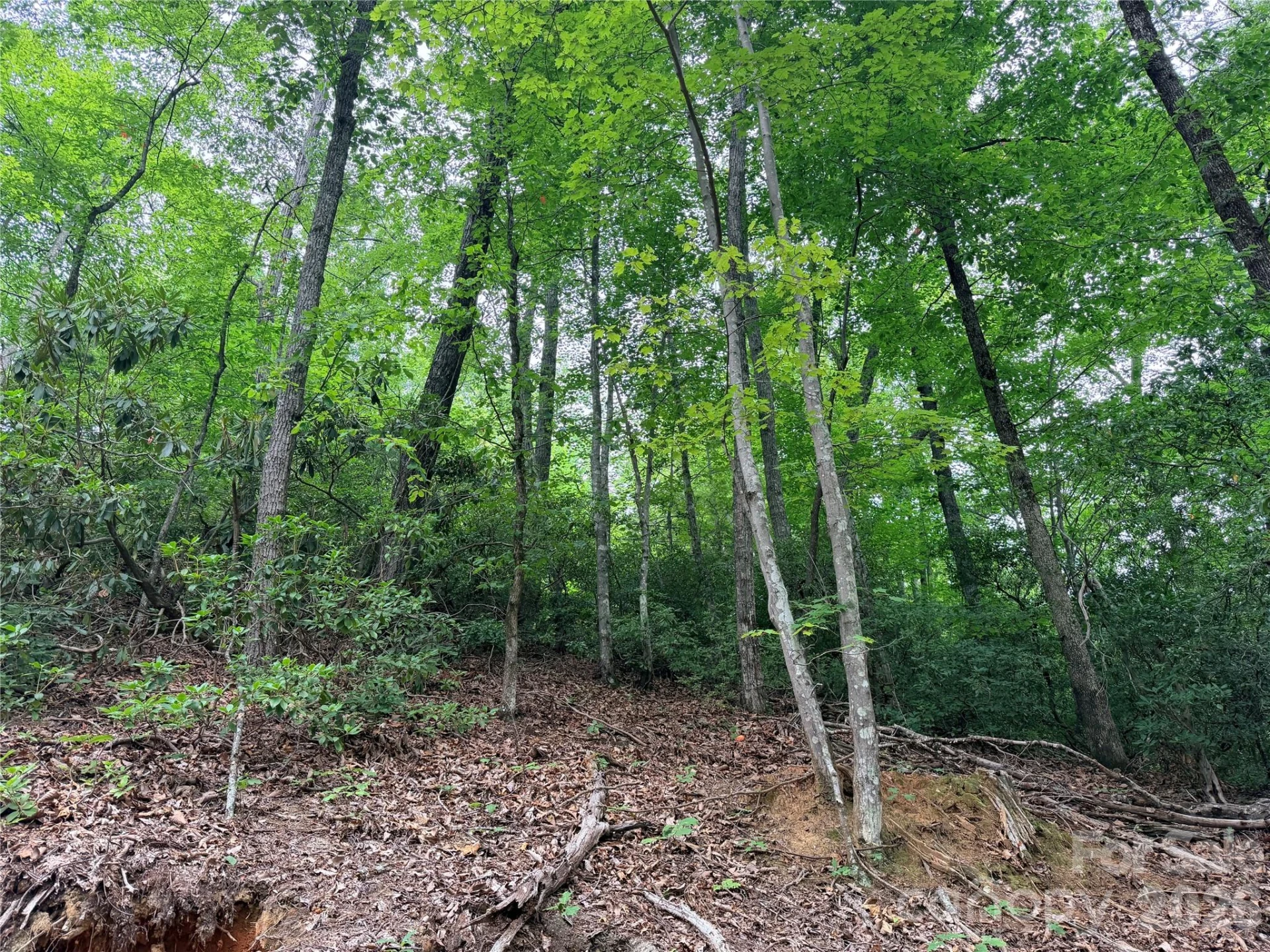 0 Harrison Drive - Photo 10