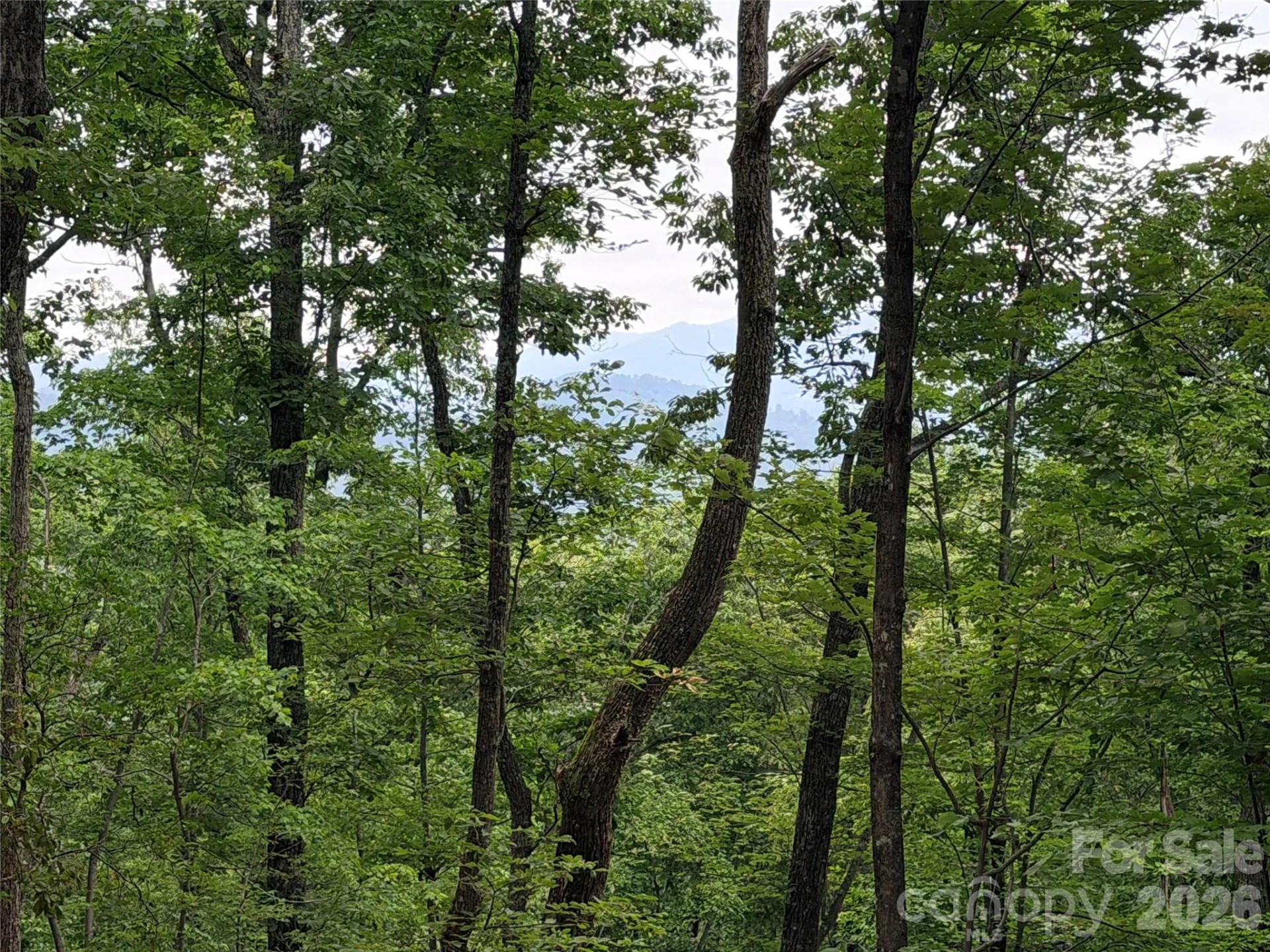 0 Harrison Drive - Photo 11