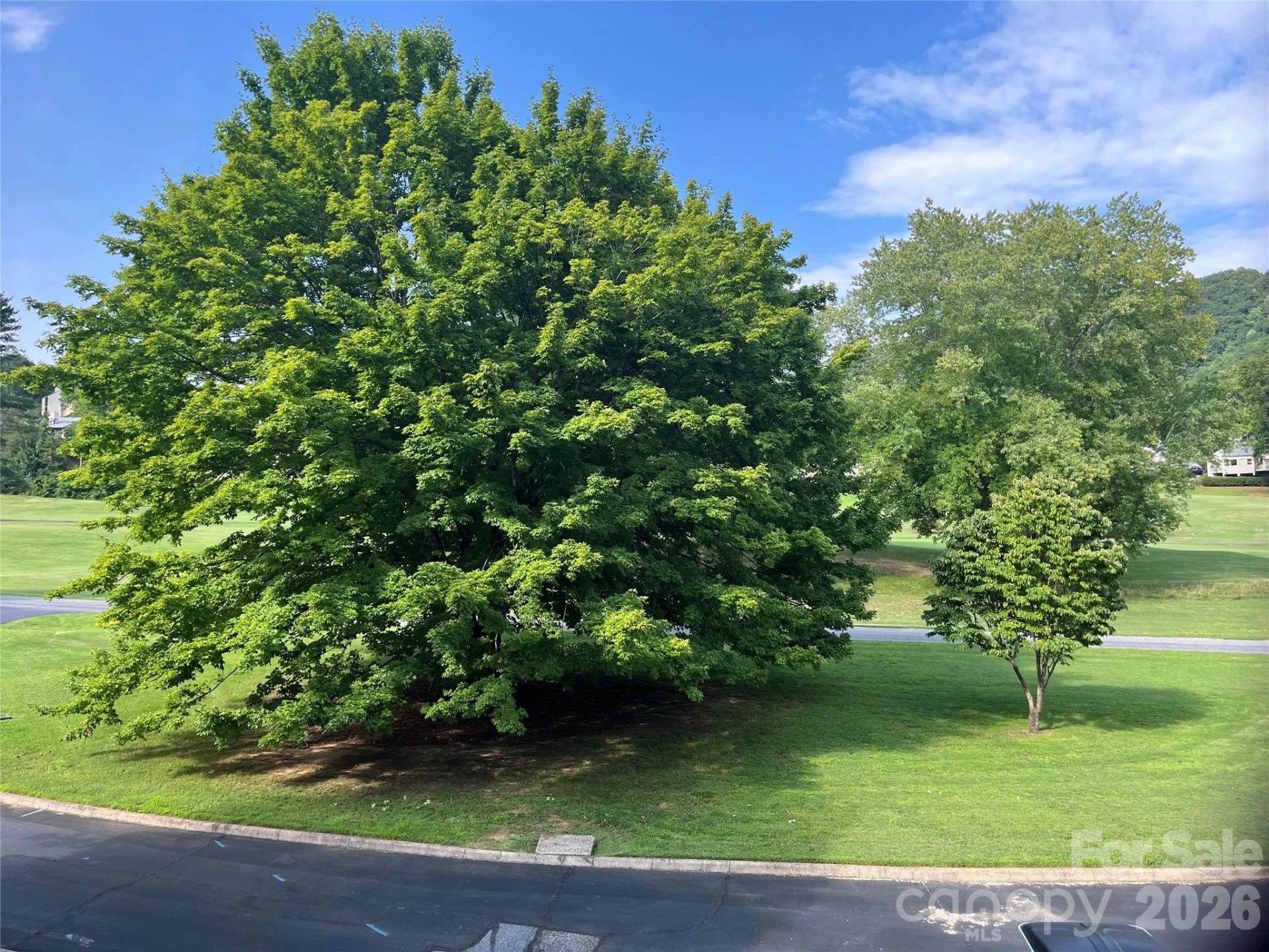 429 Mountains Boulevard #C-103 - Photo 44