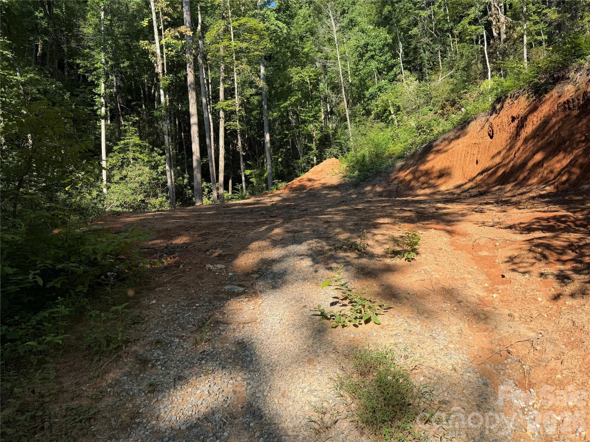 267 Cedar Falls Drive #7 - Photo 2