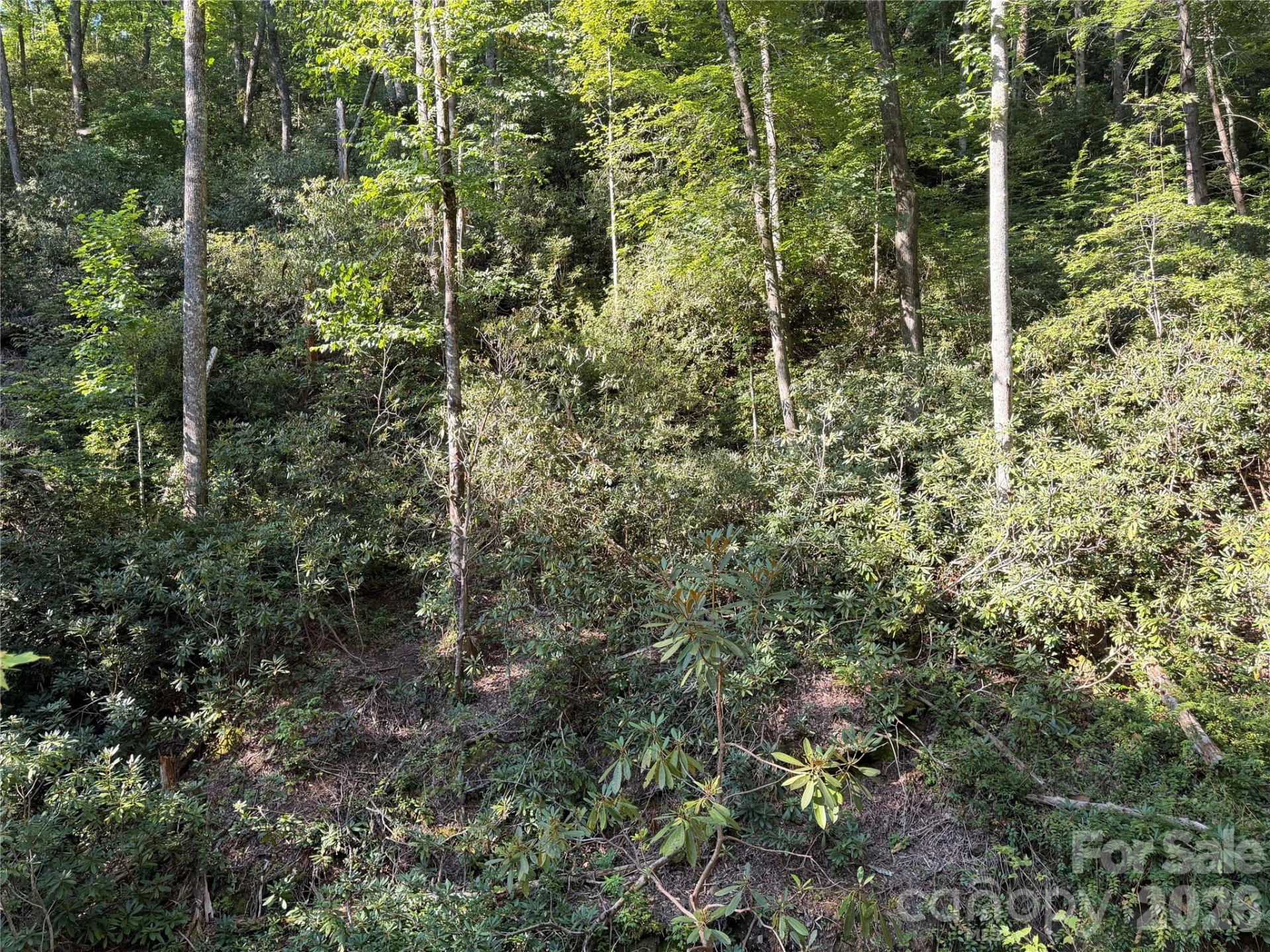 267 Cedar Falls Drive #7 - Photo 5