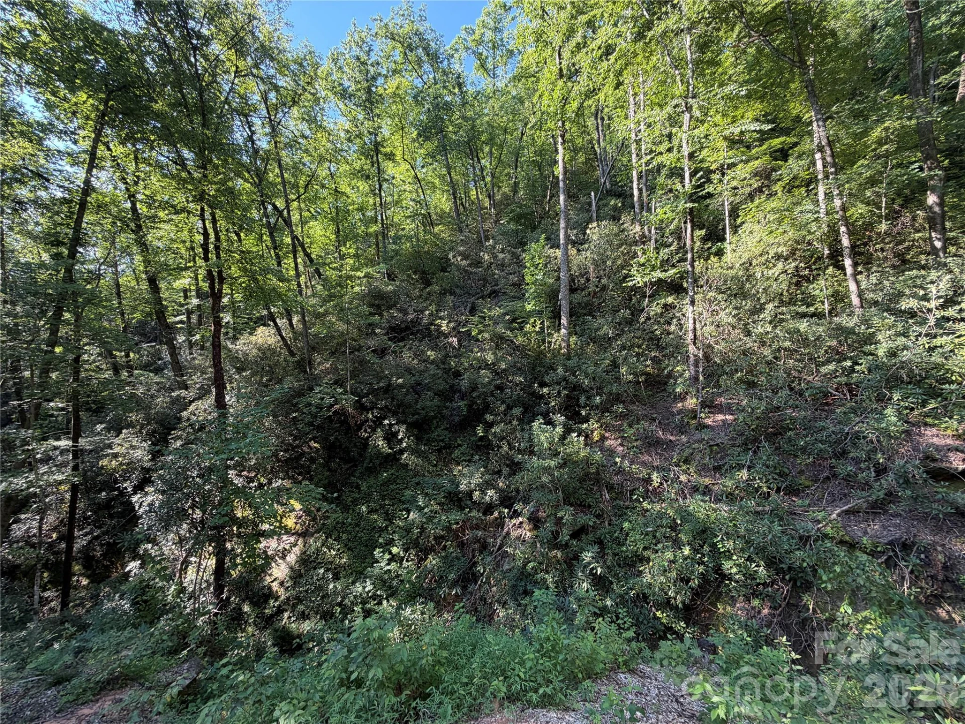 267 Cedar Falls Drive #7 - Photo 6