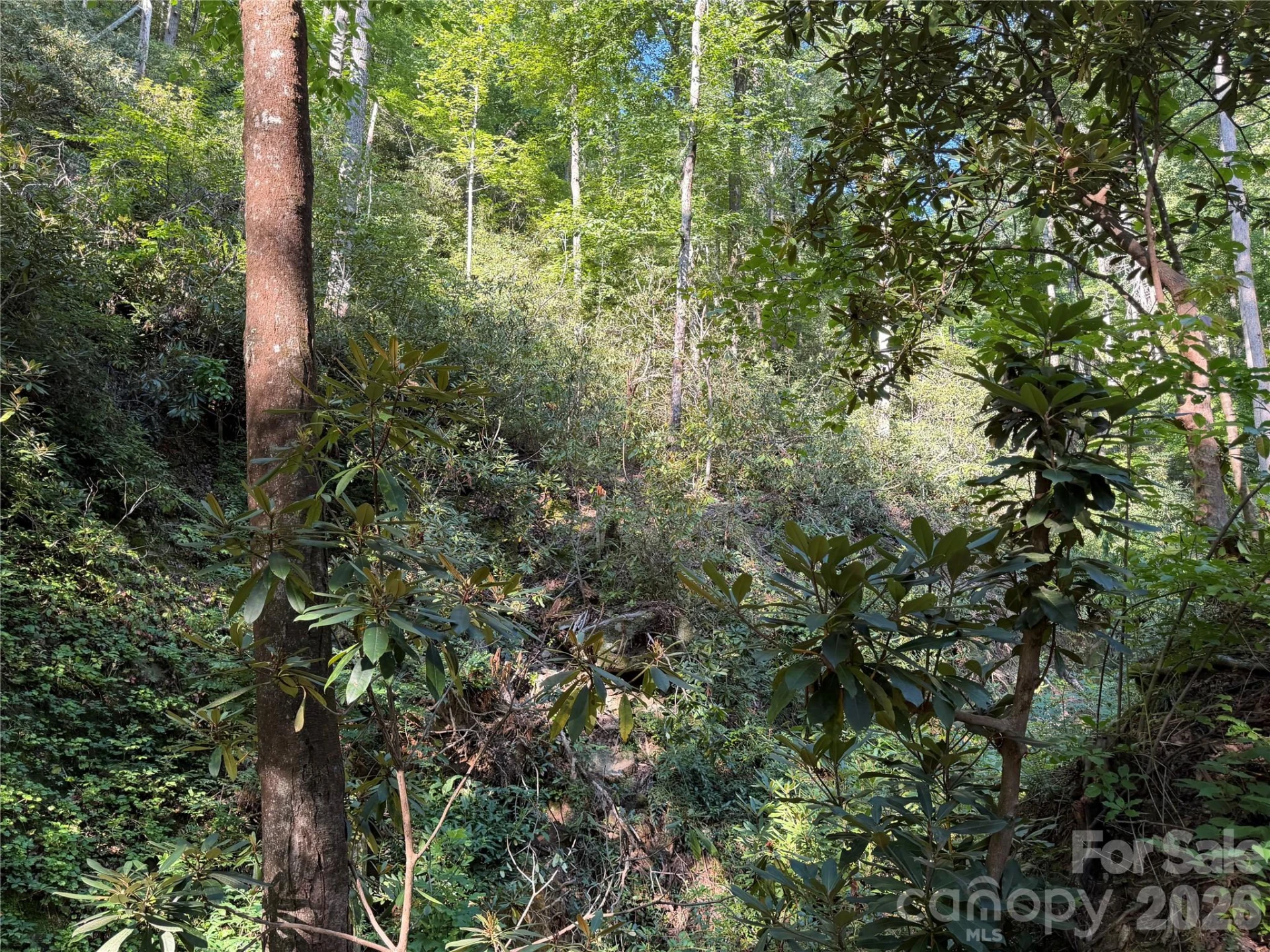 267 Cedar Falls Drive #7 - Photo 11