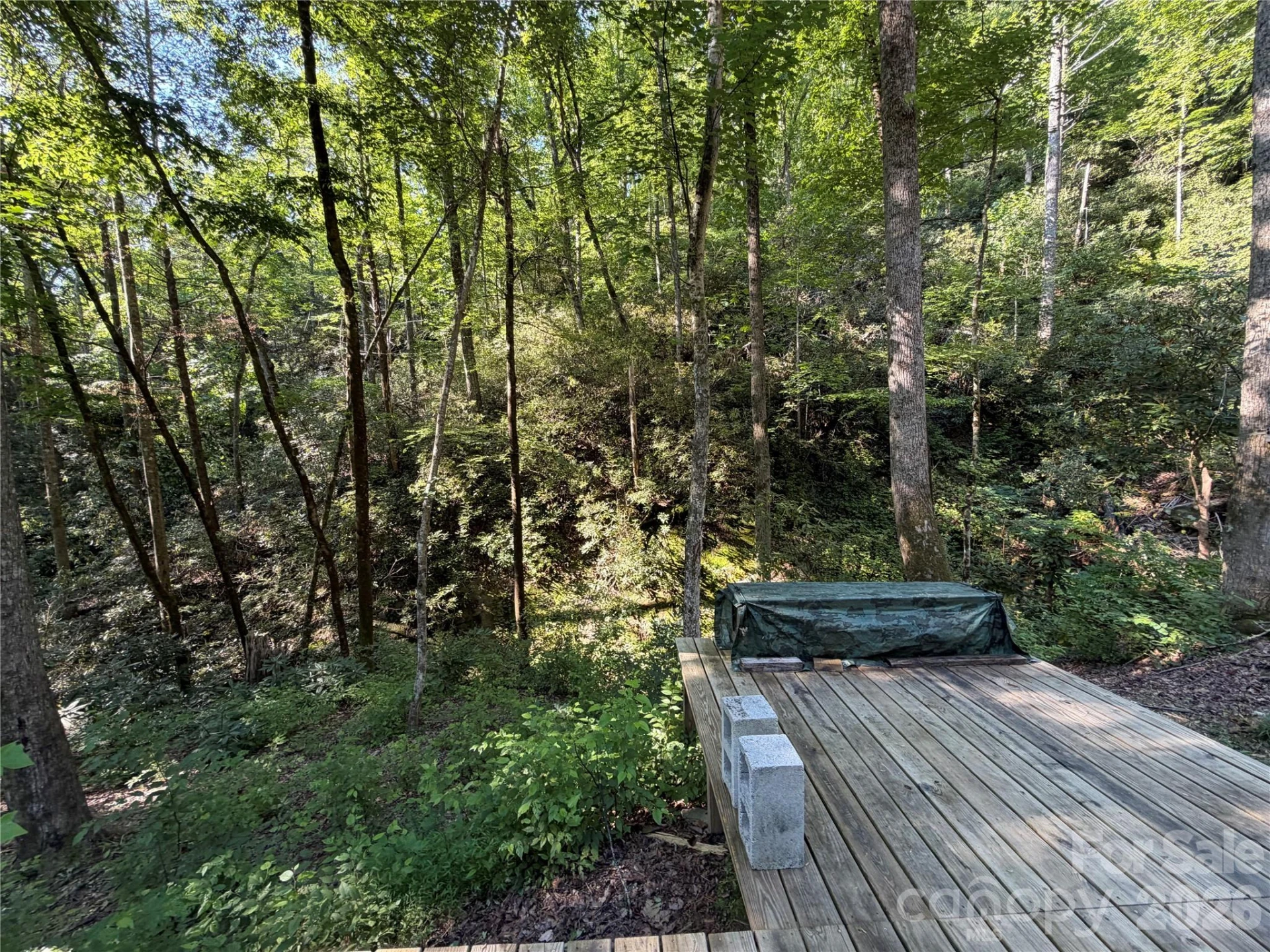 267 Cedar Falls Drive #7 - Photo 22