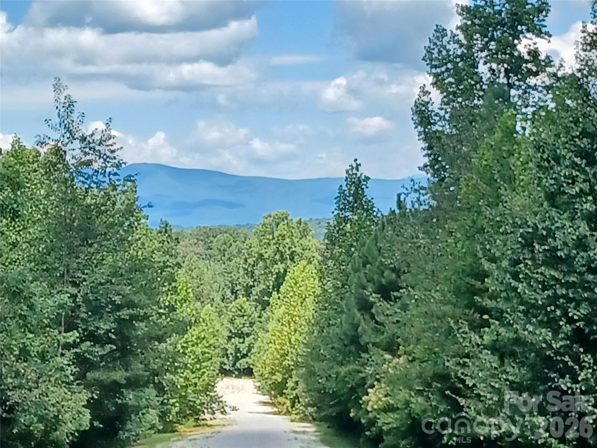 88 Lowden Drive #88 - Photo 6
