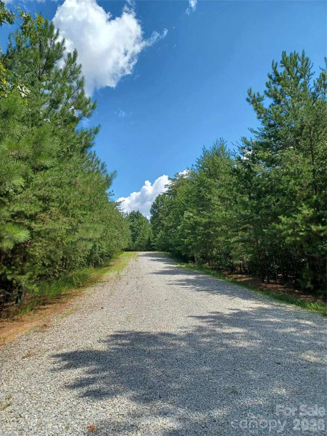 88 Lowden Drive #88 - Photo 7