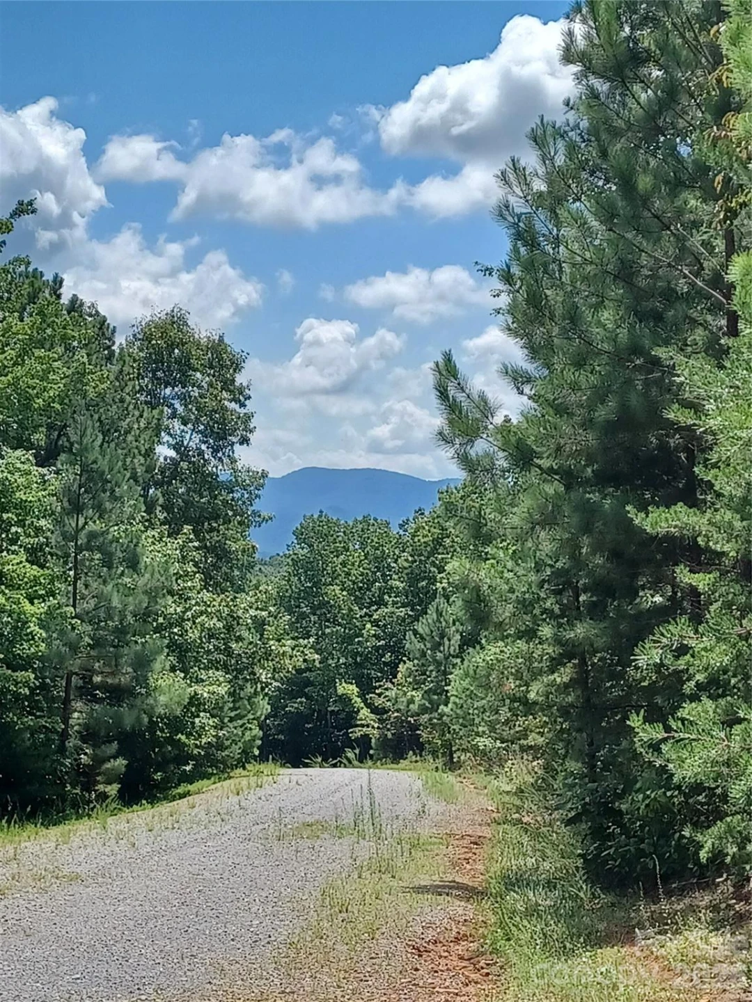 88 Lowden Drive #88 - Photo 12