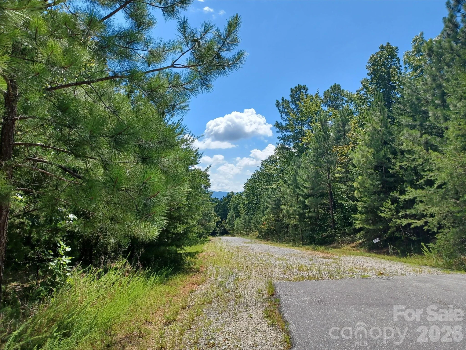 31 Hull Avenue - Photo 9
