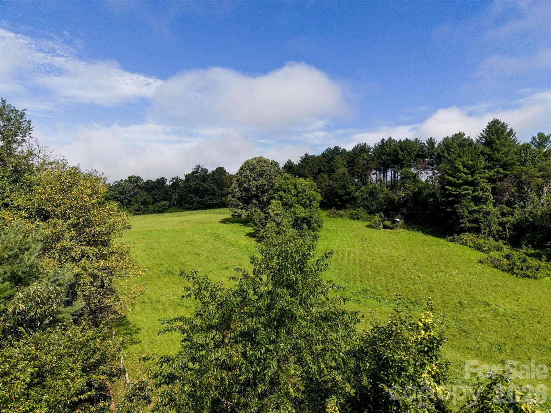 99999 Farm Hills Lane - Photo 24