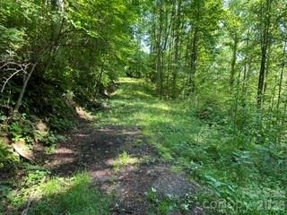 13 Galega Trail - Photo 4