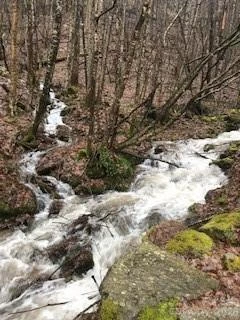 13 Galega Trail - Photo 12