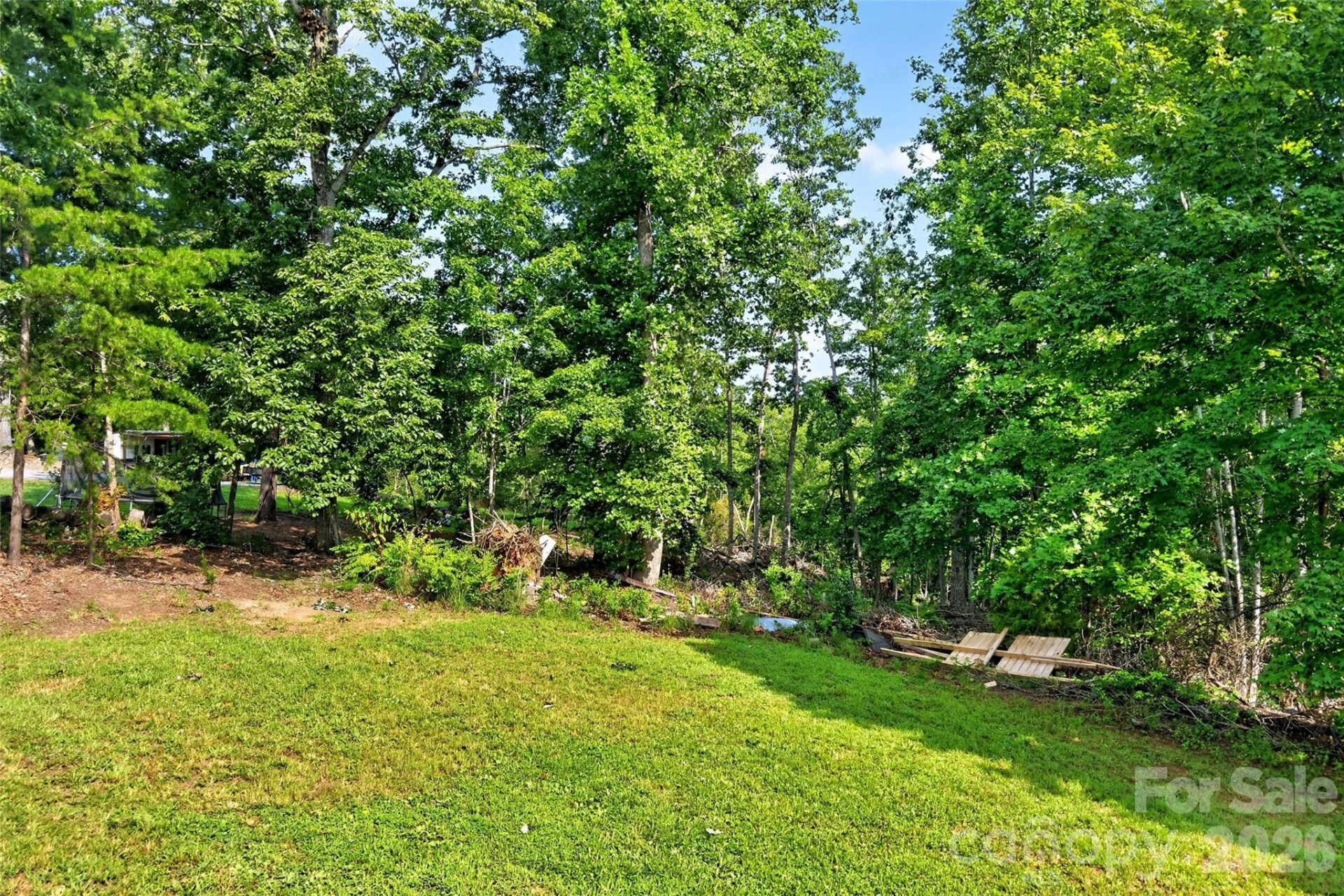248 Chestnut Oak Forest Drive - Photo 41