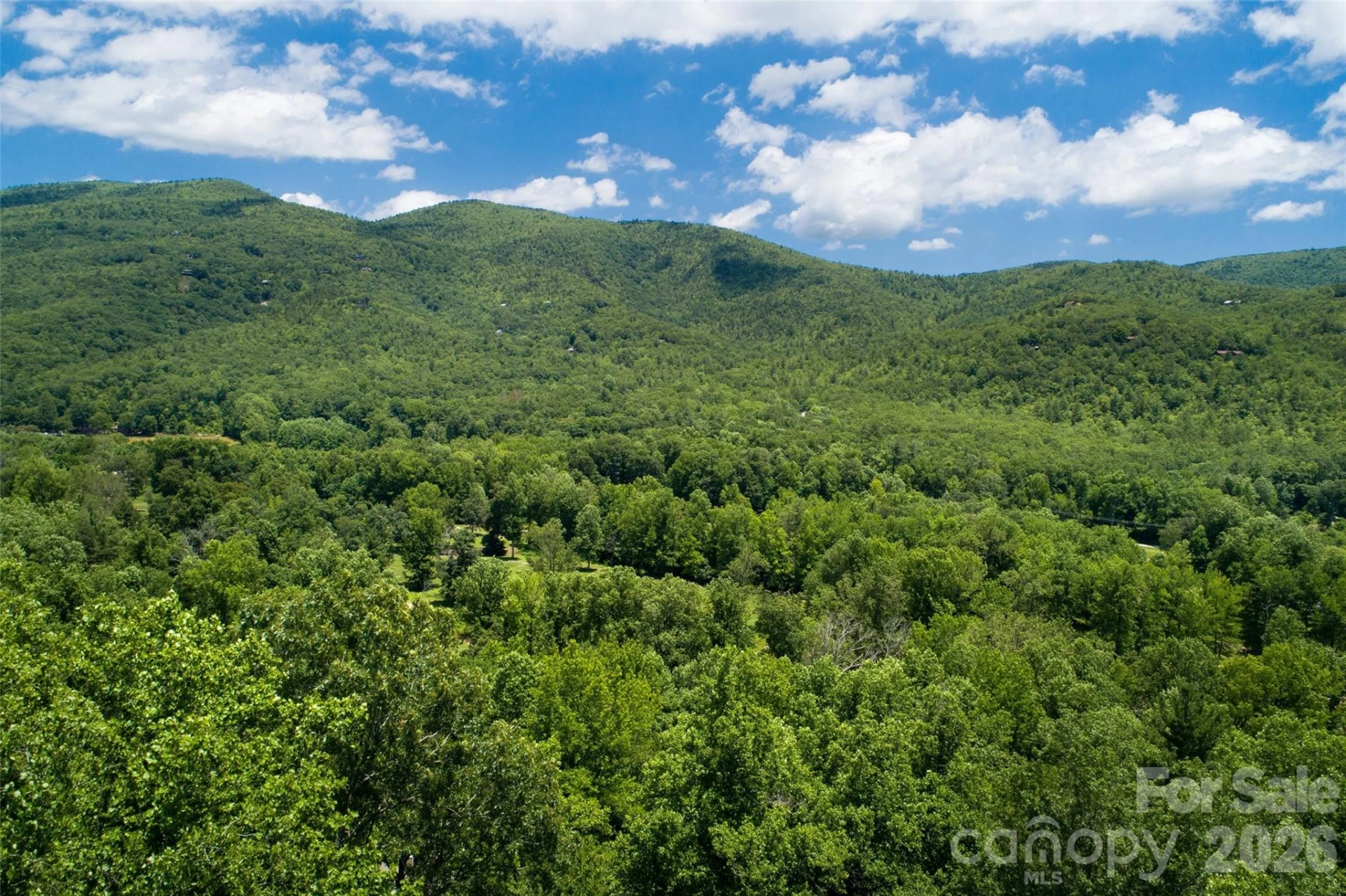 Lot #160 Hunnicut Mountain Road - Photo 7