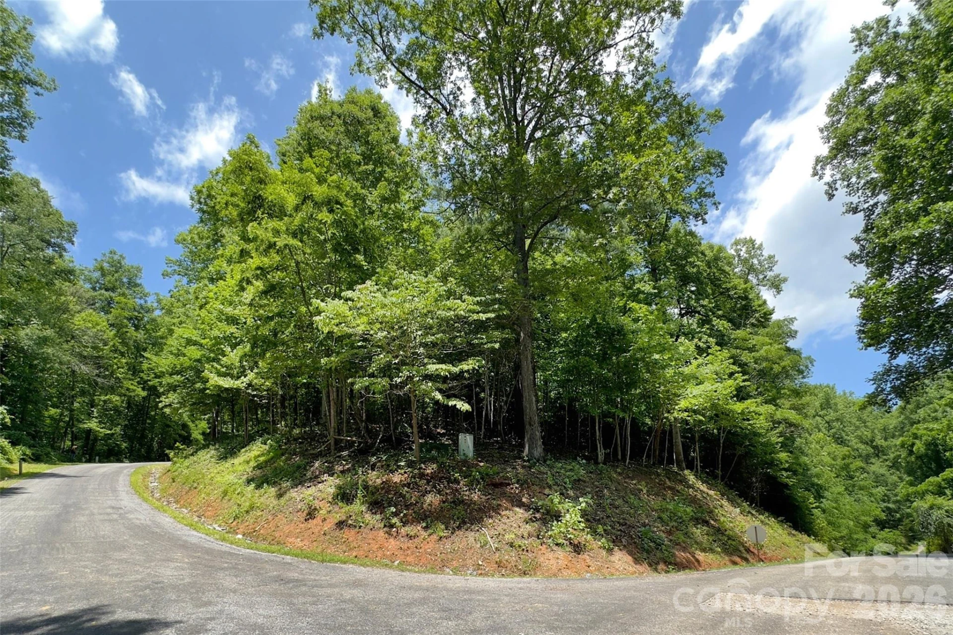 Lot #160 Hunnicut Mountain Road - Photo 8