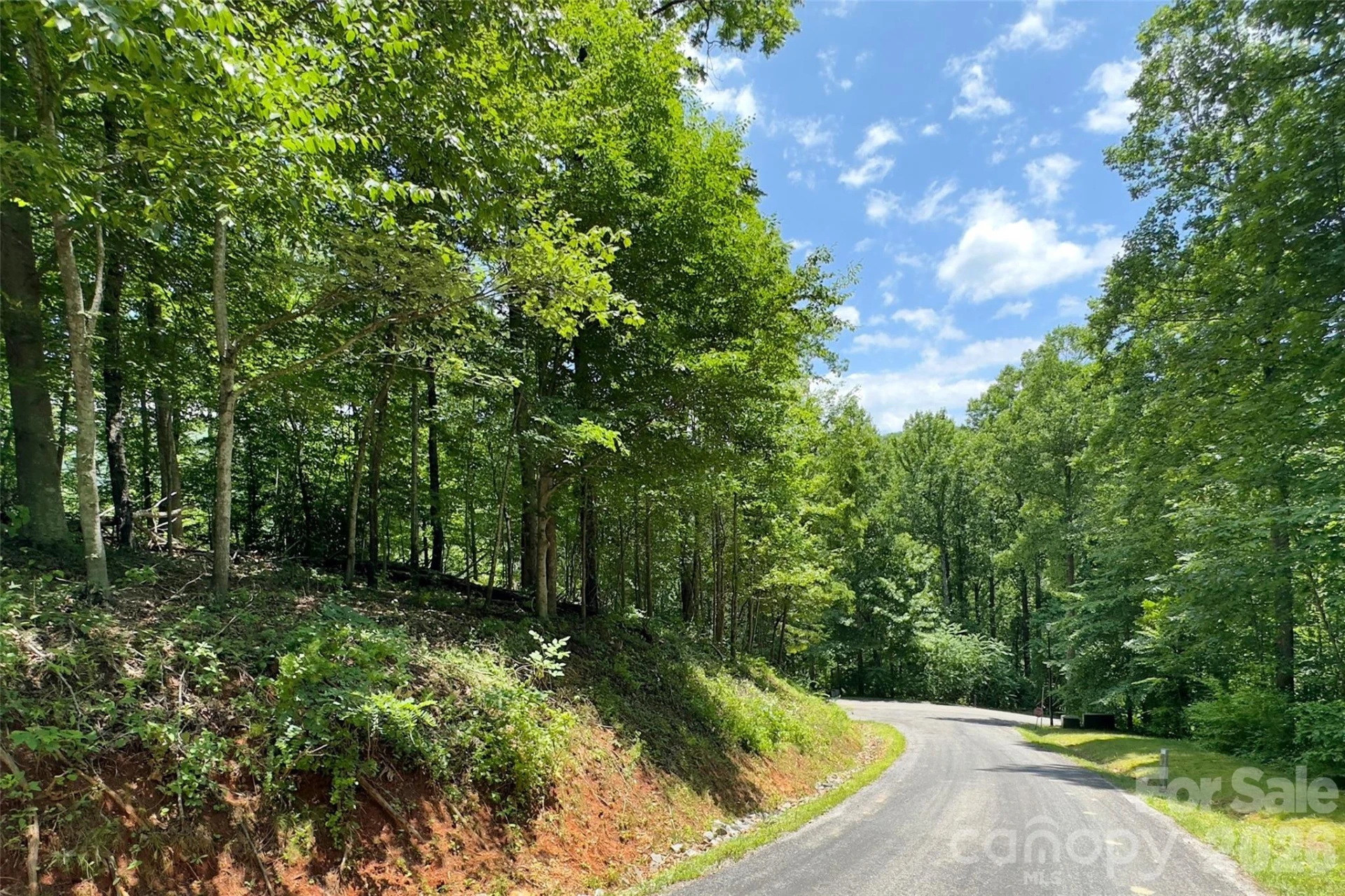Lot #160 Hunnicut Mountain Road - Photo 9