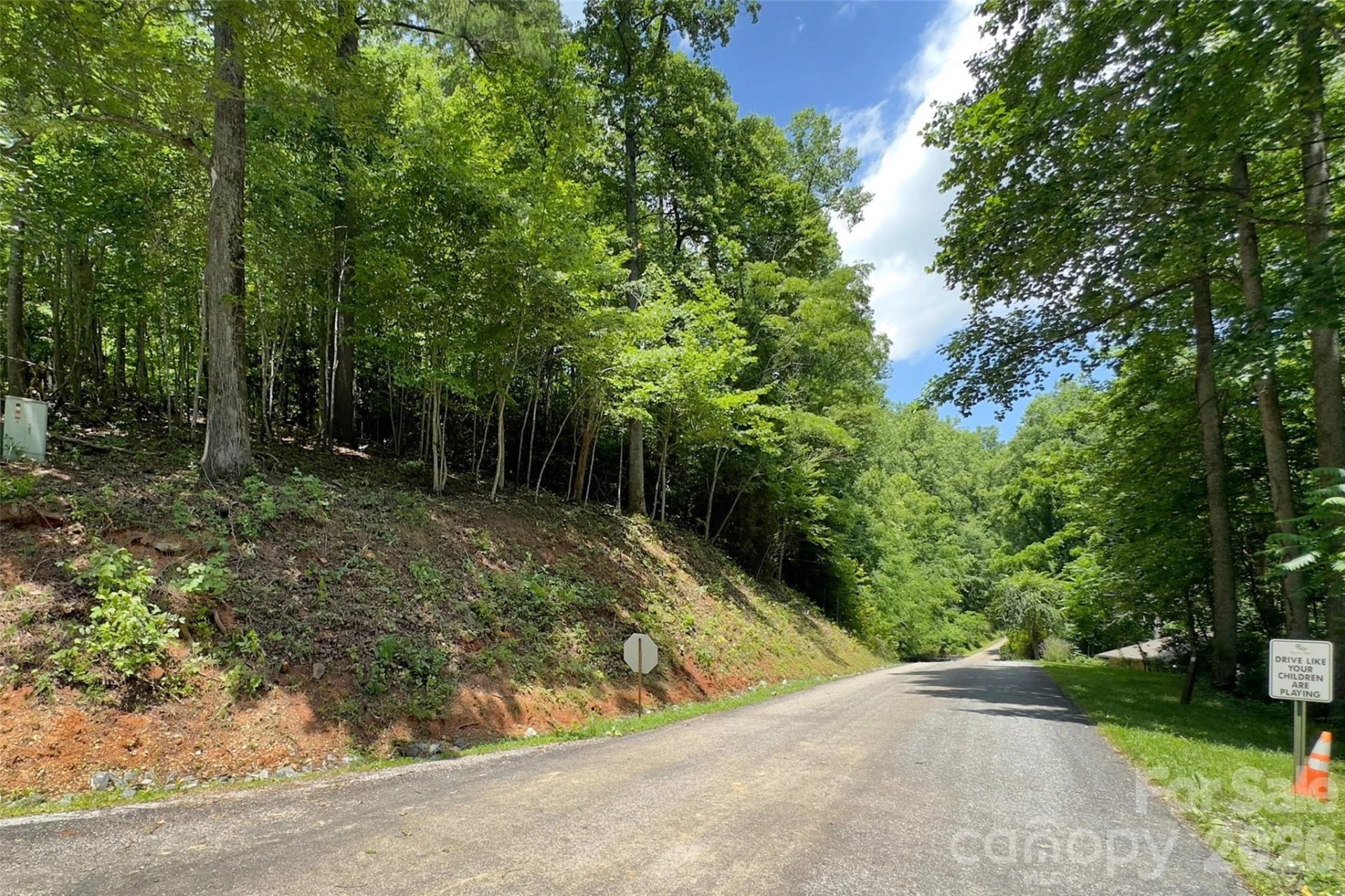 Lot #160 Hunnicut Mountain Road - Photo 10