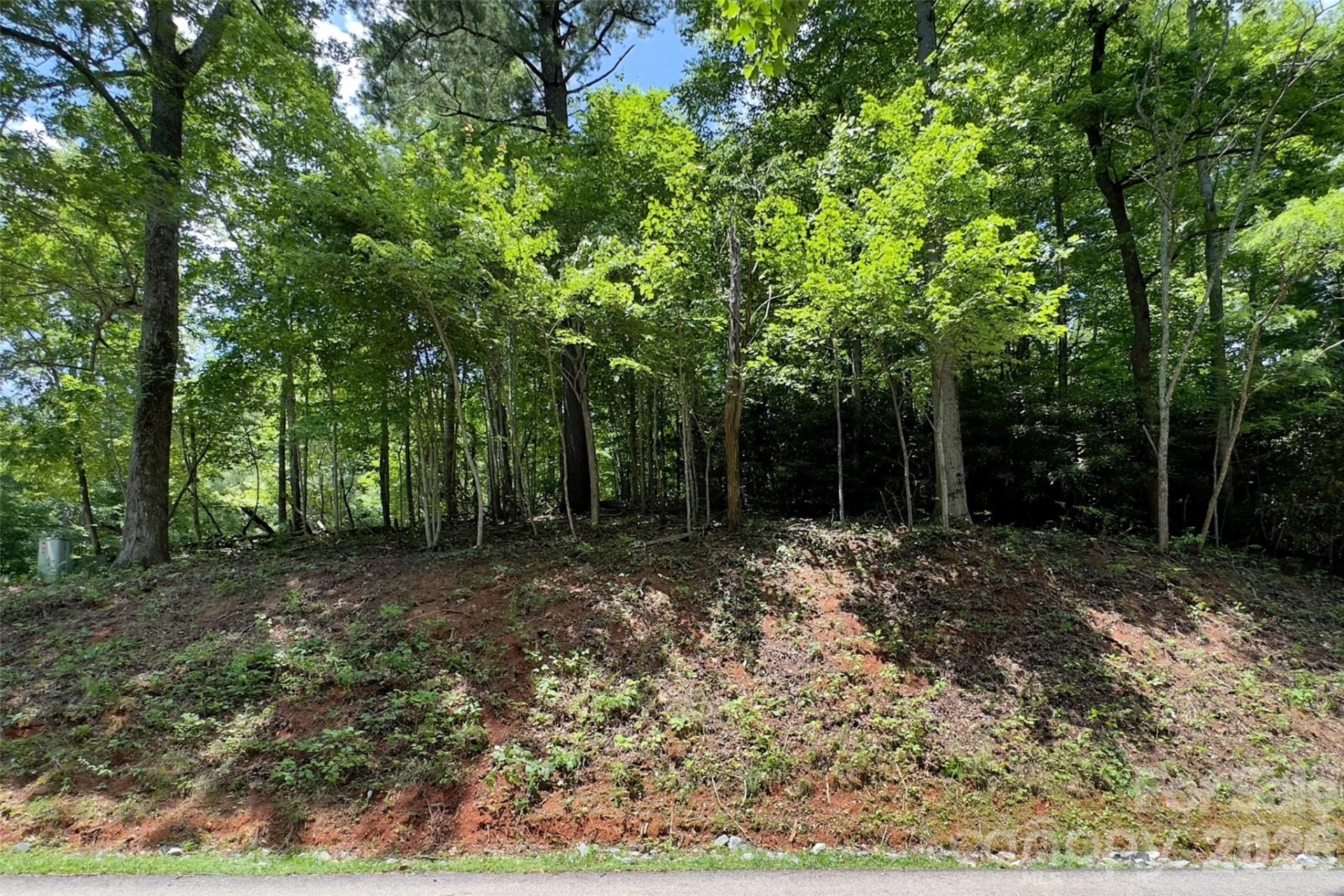 Lot #160 Hunnicut Mountain Road - Photo 11
