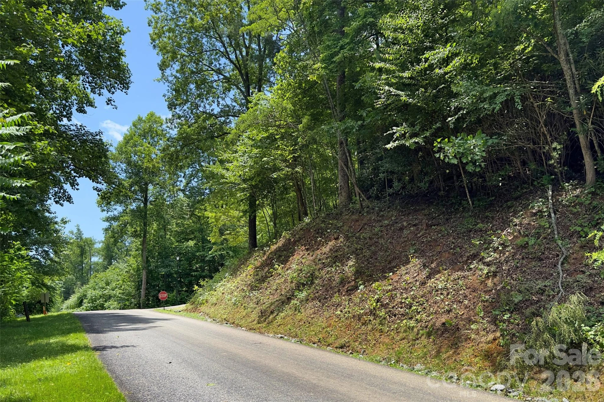 Lot #160 Hunnicut Mountain Road - Photo 12