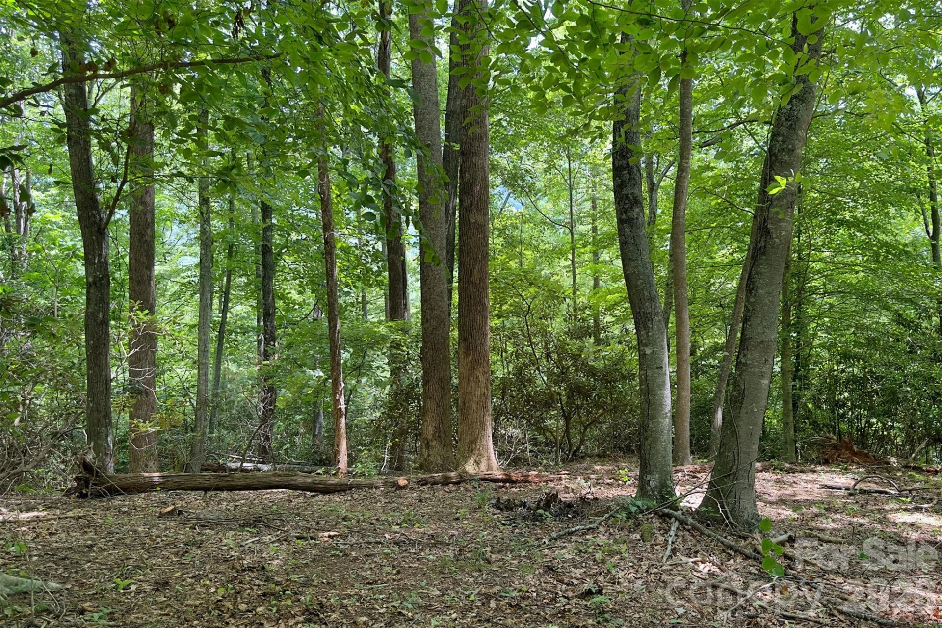 Lot #160 Hunnicut Mountain Road - Photo 13