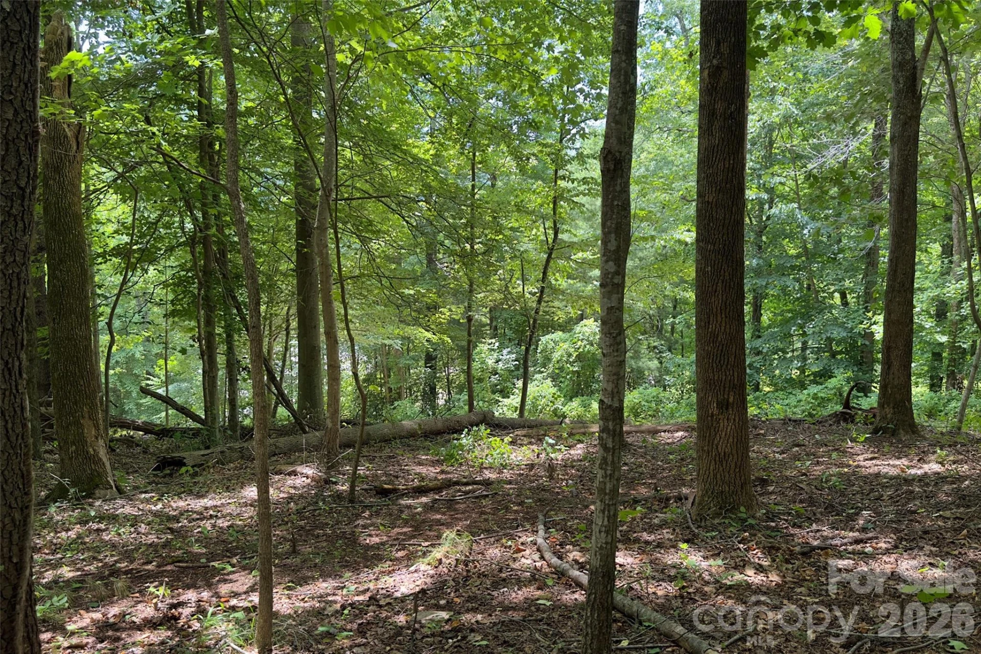 Lot #160 Hunnicut Mountain Road - Photo 15