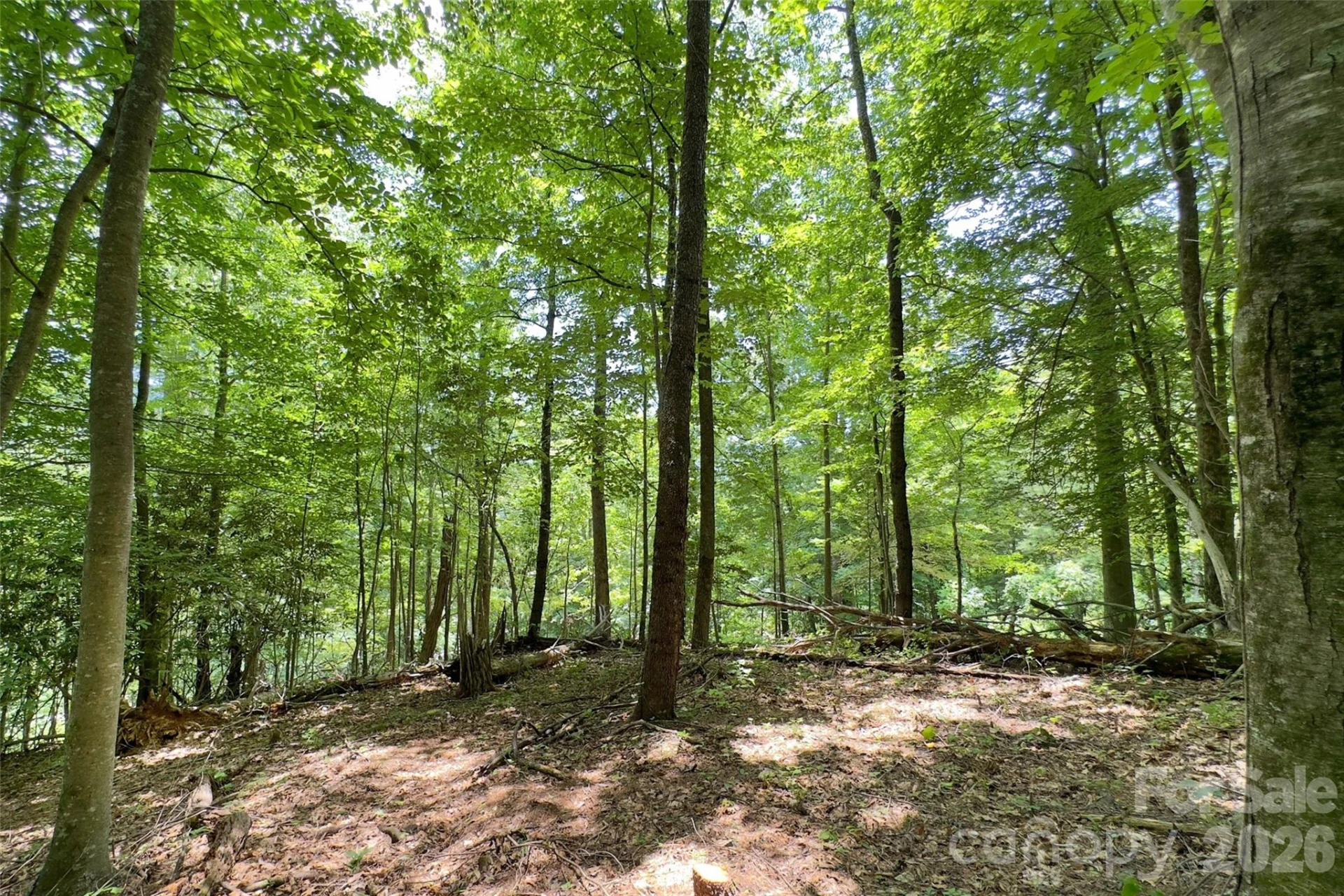 Lot #160 Hunnicut Mountain Road - Photo 18