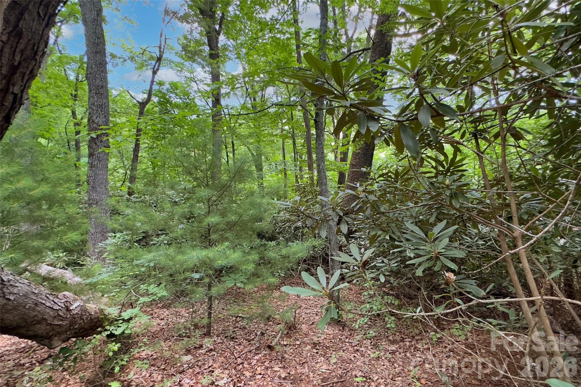 Lot #160 Hunnicut Mountain Road - Photo 19