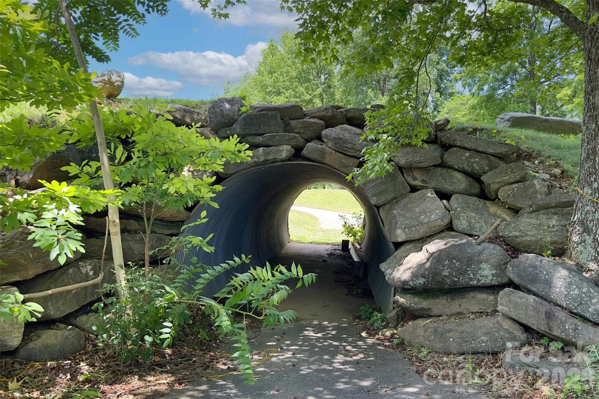 Lot #160 Hunnicut Mountain Road - Photo 23